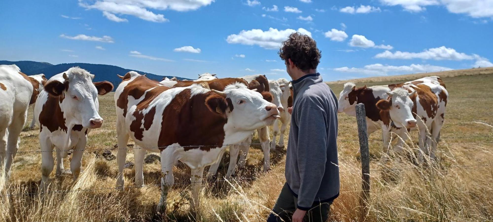 Gite Le Petit Nice Pradelles Eksteriør bilde